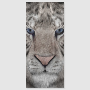 Carte Magnétique tête_de_tigre_blanc
