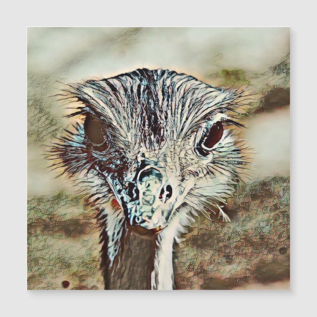 Carte Magnétique toono (Devant)