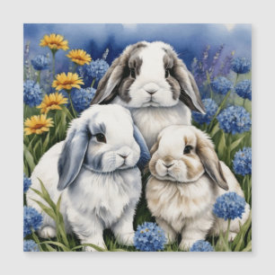 Carte Magnétique Trois petits lapins lapins de lapin de lop