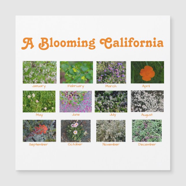 Carte Magnétique Une Californie florissante (Devant)