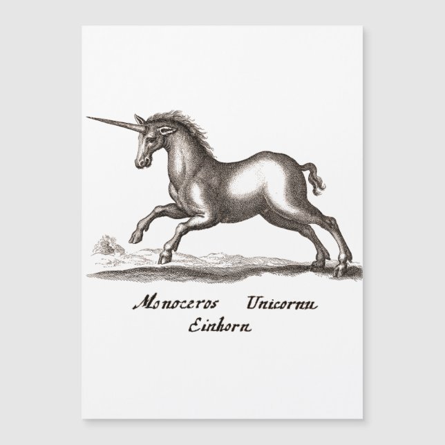 Carte Magnétique Unicorn Classic Running Magic Woodland Créature (Devant)