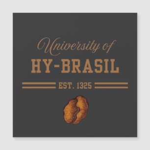 Carte Magnétique Université de Hy-Brasil, Est. 1325