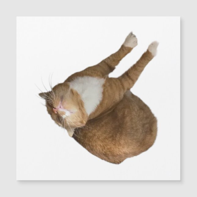 Carte Magnétique Upside-Down Sunshine (Devant)