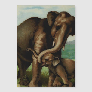 Carte Magnétique Vache d'éléphant vintage avec son veau