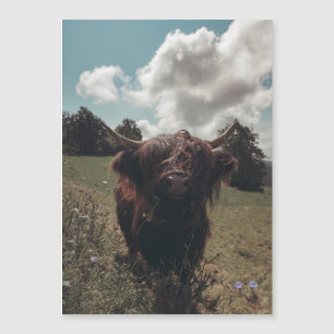 Carte Magnétique Vache écossaise de la région montagneuse noire pât