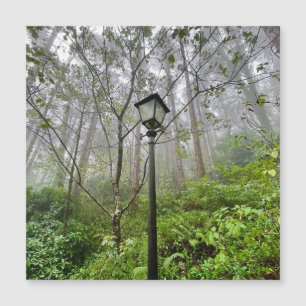 Carte Magnétique Vibes portugaises