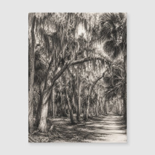 Carte Magnétique Vieux chêne de Floride Graphite Hammock Sketch R