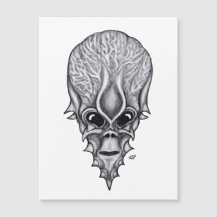 Carte Magnétique Visage Alien, Reconstruction faciale du crâne afri