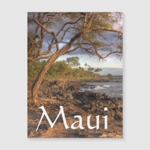 Carte Magnétique Vue sur l'océan du Maui