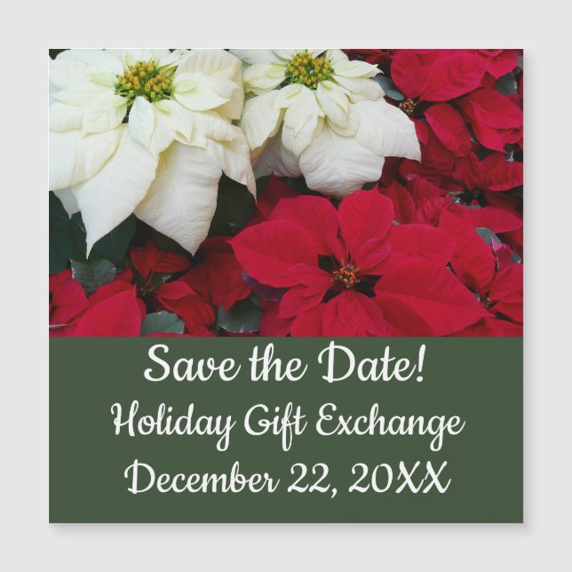 Carte Magnétique White and Red Poinsettias (Devant)
