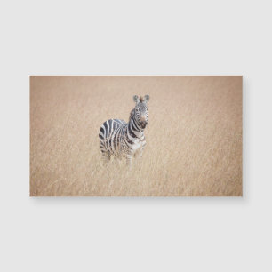 Carte Magnétique Zebra