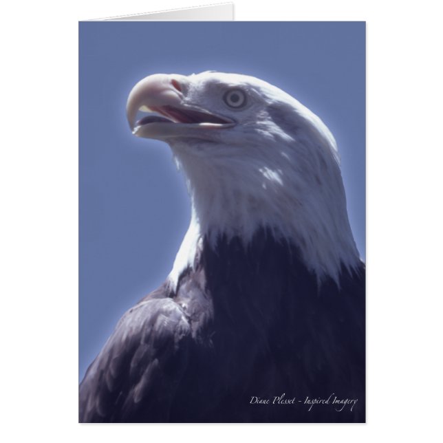 Carte magnifique d'Eagle (Devant)