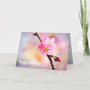 Carte Magnifique Groupe De Fleurs Sakura Au Printemps