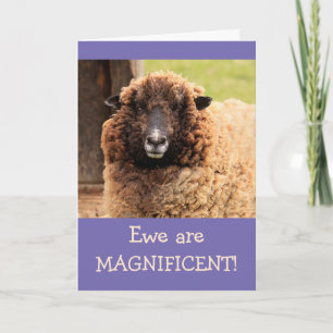 Carte Magnifique mouton Joyeux anniversaire