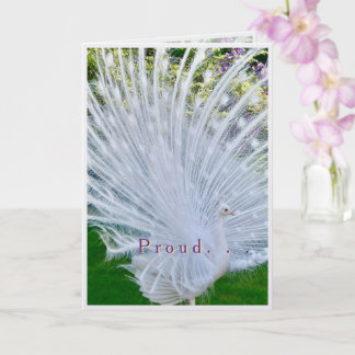 Carte Magnifique paon blanc, plumes éployées/félicitatio