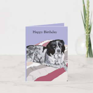 Carte Magnifique Springer Spaniel noir et blanc