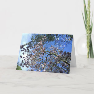 Carte Magnolia