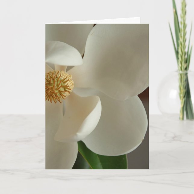 Carte magnolia 2 (Devant)