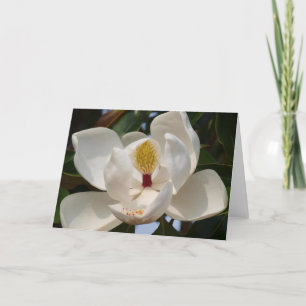 Carte Magnolia 72