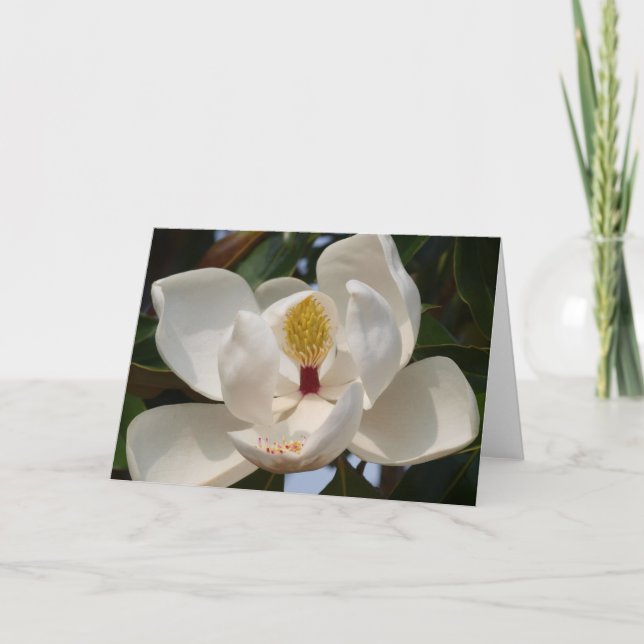 Carte Magnolia 72 (Devant)