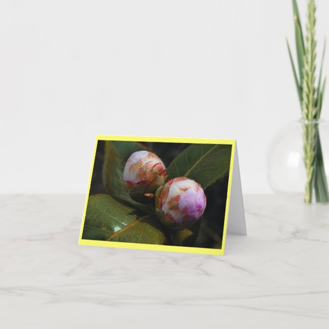 Carte Magnolia Buds (Devant)