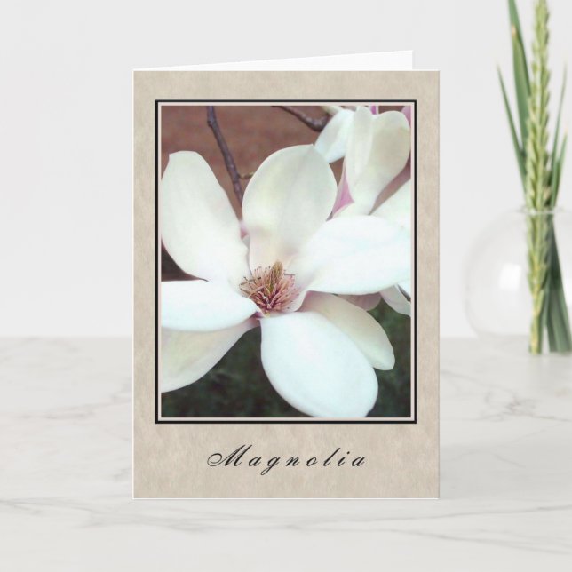 Carte Magnolia - Série Florale (Devant)