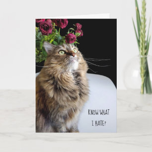 Carte Maine Coon chat anniversaire tardif