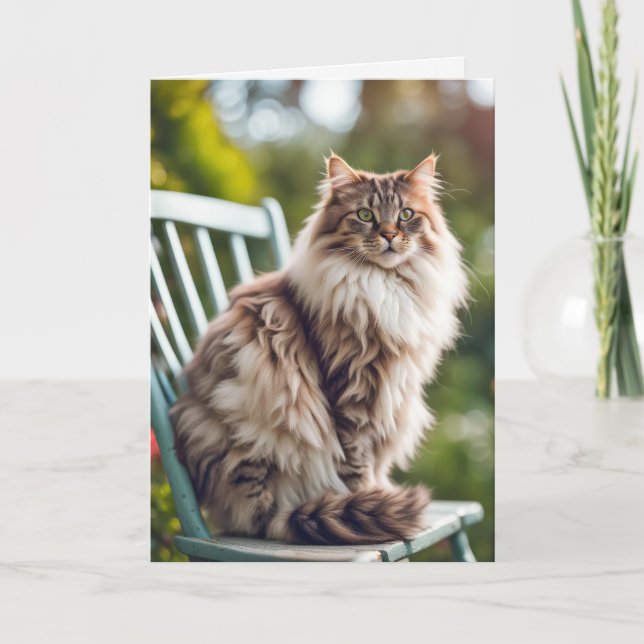 Carte Maine Coon Chat On Chaise pour Anniversaire (Devant)