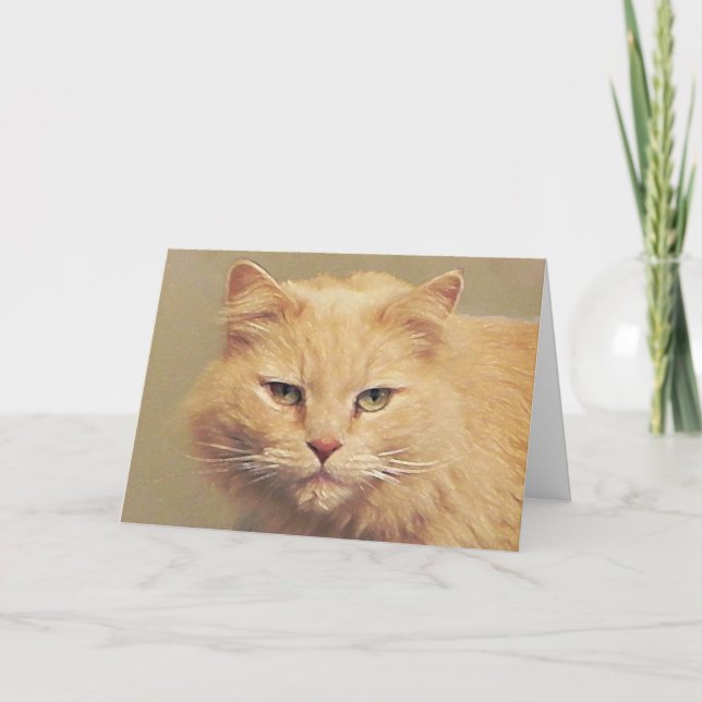 Carte Maine Coon Get Well Card (Devant)
