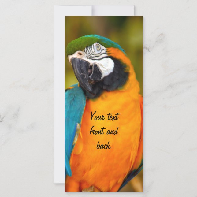 Carte Majestic Macaw (Devant)