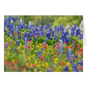 Carte majestueuse de Bluebonnets