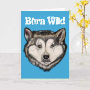 Carte Malamute d'Alaska