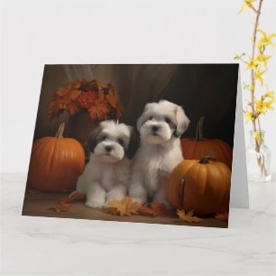 Carte Malti tzu Puppy Citrouille d'automne