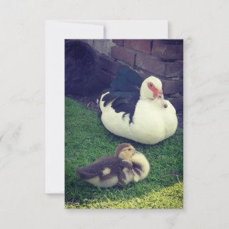 Carte Mama canard, bébé et cul de lapin.