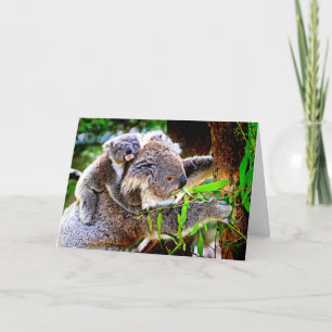 Carte Mama Koala et bébé Joey dans un arbre,