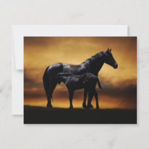 Carte Maman et colt bébé