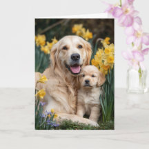 Maman Golden Retriever Fête des Mères Amour