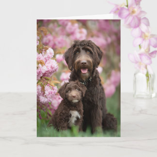Carte Maman Labradoodle Fête des Mères Amour