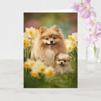 Carte Maman Poméranie Fête des Mères Amour