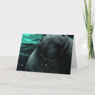 Carte Manatee Kiss