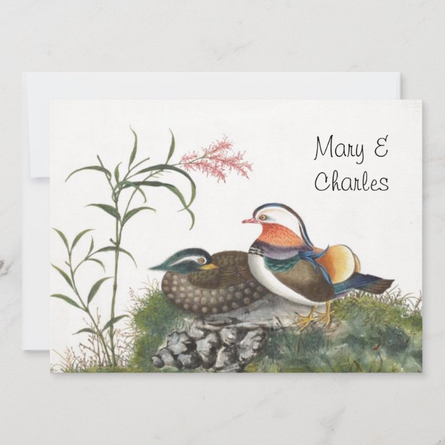 Carte Mandarin Canard peinture chinoise (Devant)