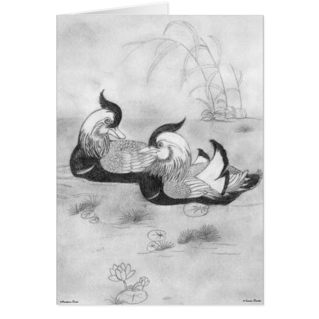 Carte Mandarin Ducks (Devant)