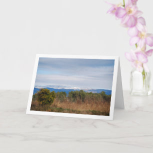 Carte Mandarin Orange Tree et Snowy Mountains