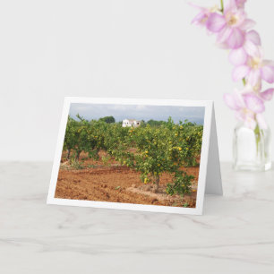 Carte Mandarin Orchard, Llira, ville espagnole, Valence