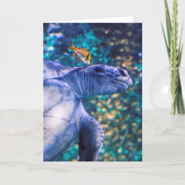 CARTE MANICURE DE TORTUE DE MER (Devant)