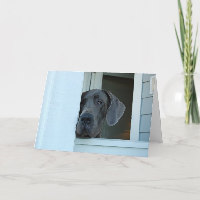 Carte Manquant vous cardez (Devant)