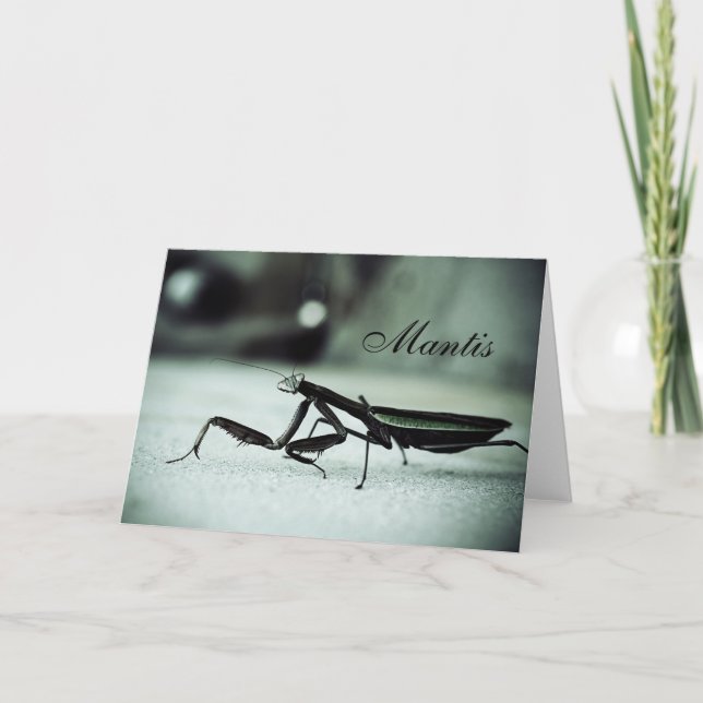 Carte Mante priante (Devant)