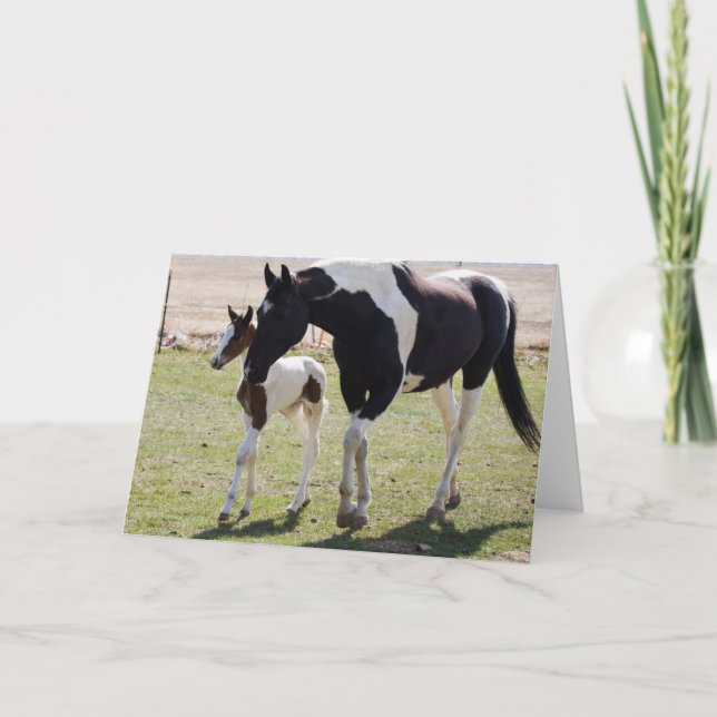 Carte Marche de Mare et Filly (Devant)