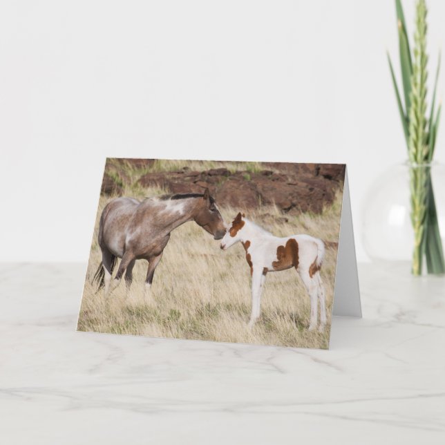 Carte Mare avec Colt (Devant)