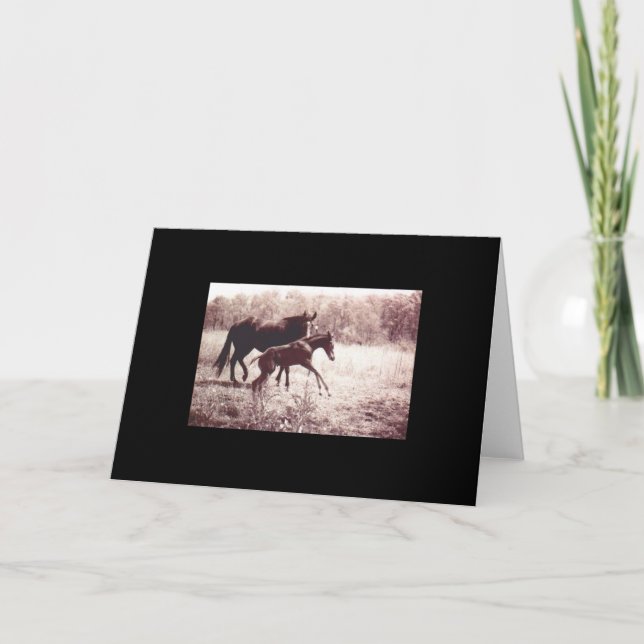 Carte Mare et poulain (Devant)